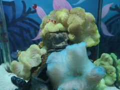 -太平洋海底世界