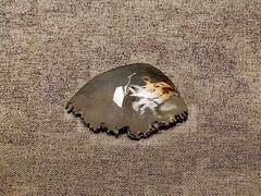 -丁村民俗博物馆