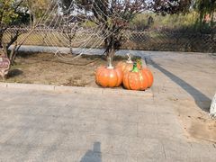 -杨柳青庄园