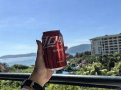 -三亚亚龙湾天域度假酒店