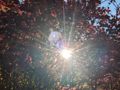 -全国青少年井冈山革命传统教育基地