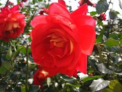 -人民公园(罗湖区)