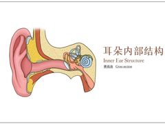 -自然之声助听器·呼吸机(翠微大厦店)