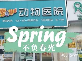 宠物是我们的好朋友，时间长了就像是我们的家人朋友一样