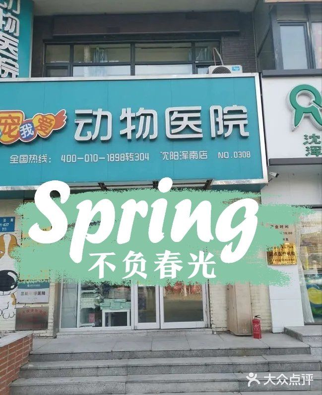 新手宠物爸妈必看👀