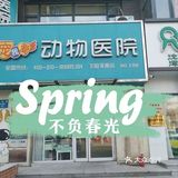 新手宠物爸妈必看👀