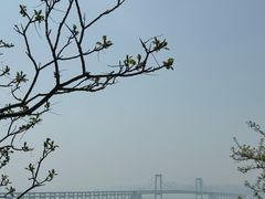 -星海湾跨海大桥