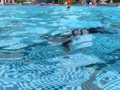 -菲鱼体育恒温游泳馆(中海名城店)