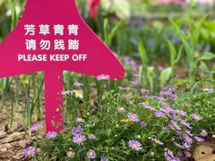 -深圳市中科院仙湖植物园