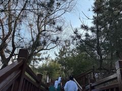 -徂徕山森林康养度假谷温泉