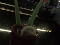 -酒池星座(深圳湾后海汇店)