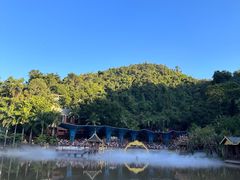 -西双版纳原始森林公园