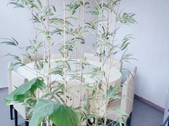 -莲餐厅·湖北菜·藕汤老手艺(愚园路店)