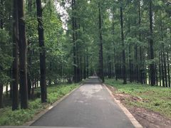 -上海海事大学(临港校区)