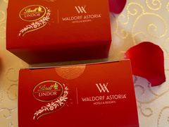 -Salon de Ville浦江汇(上海外滩华尔道夫酒店店)