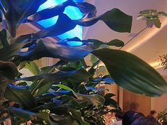 -桂满陇·蟹黄小笼汤包(清河万象店)