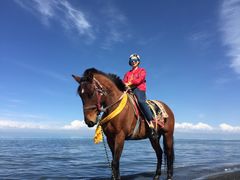 -青海湖国家重点风景名胜区