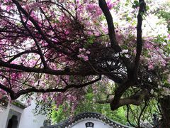 -深圳国际园林花卉博览园