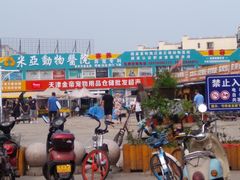 -中环花鸟鱼虫市场