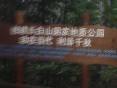 -峡谷浮石林景区