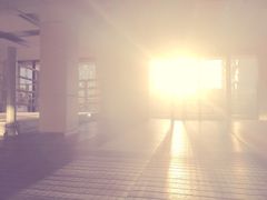-EFL巴西柔术·综合格斗·泰拳·少儿体能训练(虹桥德必馆)