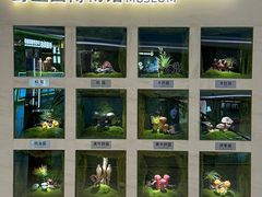 -芸山季·云南野生菌火锅(人民广场来福士店)