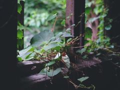 -书隐楼