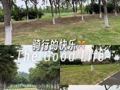 -双山岛