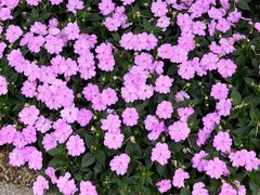 -南宁市凤岭儿童公园