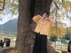 -广东茂名森林公园