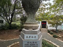-雨花胜境
