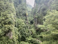 -苍山感通索道