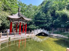 -王顺山国家森林公园