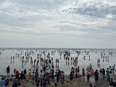 -奉贤海滩