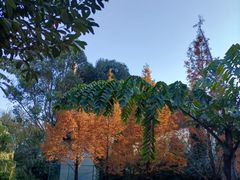 -昆明城市学院(海源校区)