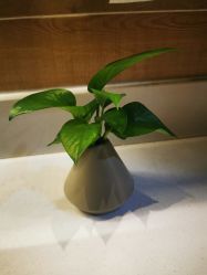 -恒美雅轩·品牌直营连锁