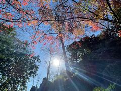 -灵隐飞来峰景区