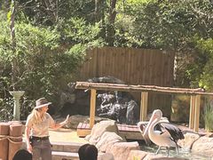 -可伦宾野生动物保护区