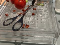 -小大董·烤鸭(观景餐厅·南京西路店)