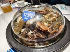 -大锅强·蒸海鲜青岛菜(金沙滩店)