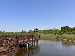 -上海海湾国家森林公园