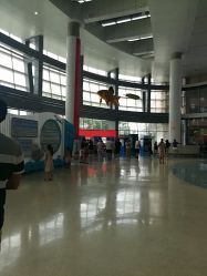 -天津市儿童医院(北辰龙岩院区)