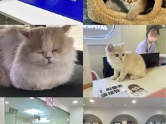 -立德异宠动物医院.兔鸟爬.内窥镜(天河店)