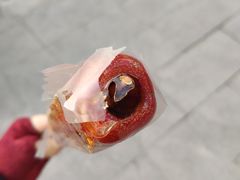 -和禄德冰糖葫芦