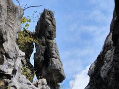 -千岛湖石林