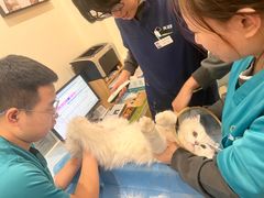 -美迦爱-牙专科·兔科·骨科诊疗中心(北苑店)