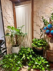 点击看大图 -至爱至信新中式SPA疗愈会所