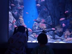 -成都浩海立方海洋公园