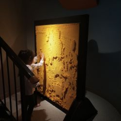 -幻贝家儿童乐园(苏州中心店)