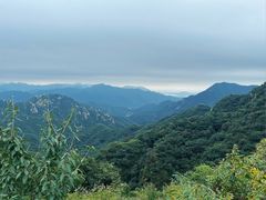 -大岭沟猕猴桃谷风景区